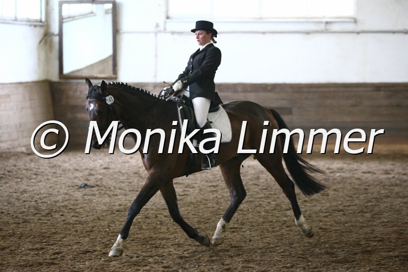 009M3154_Donatello_Dressur A.JPG